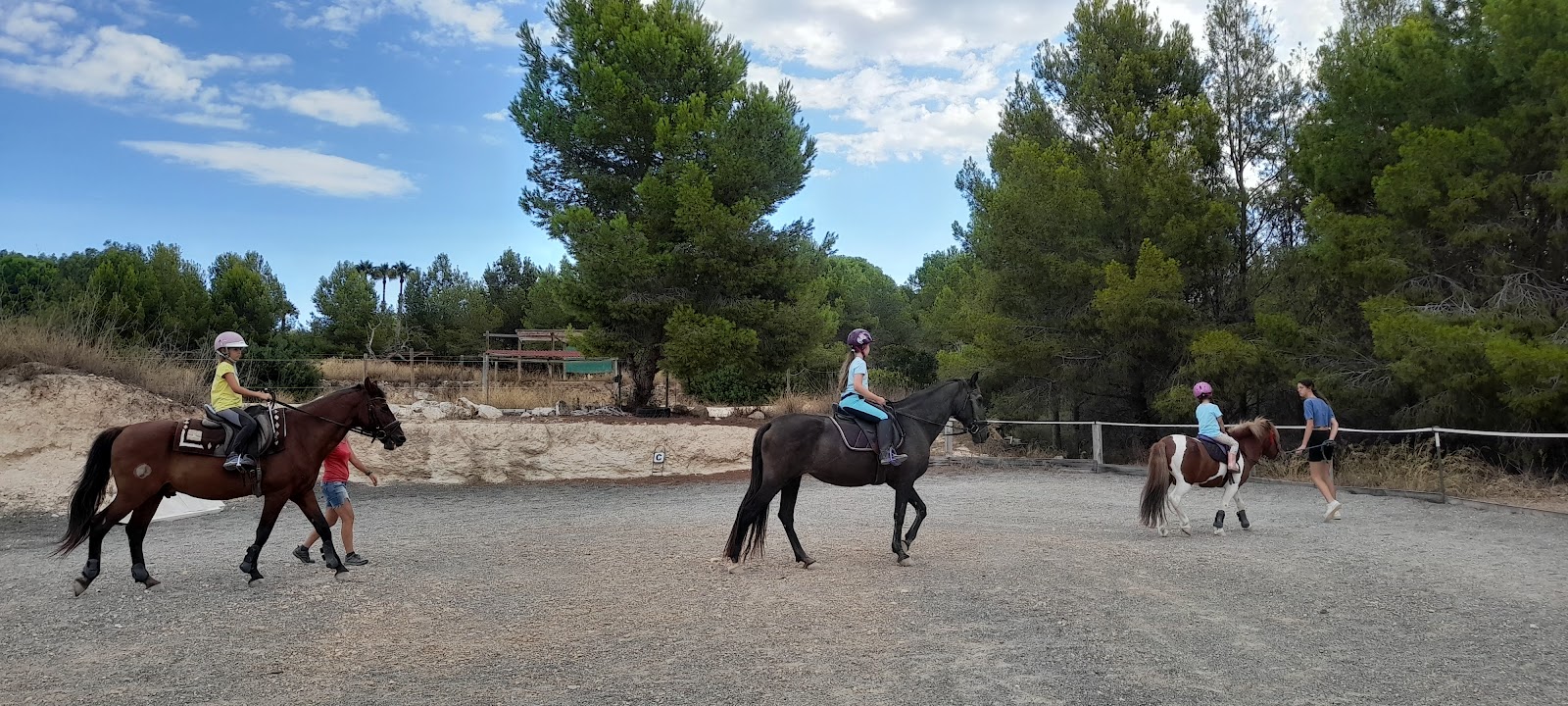 Children at Pony Club