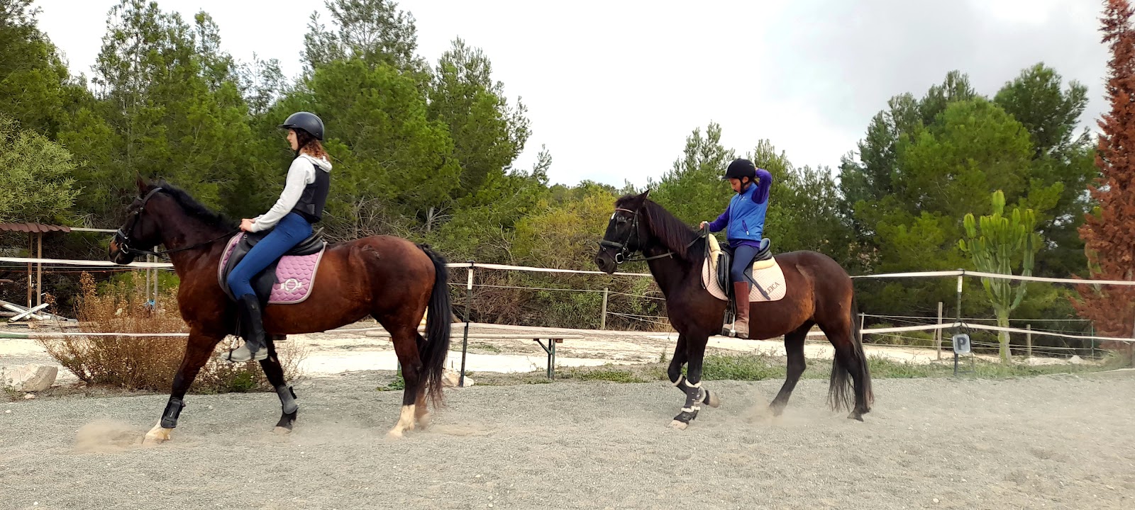Riding Sessions