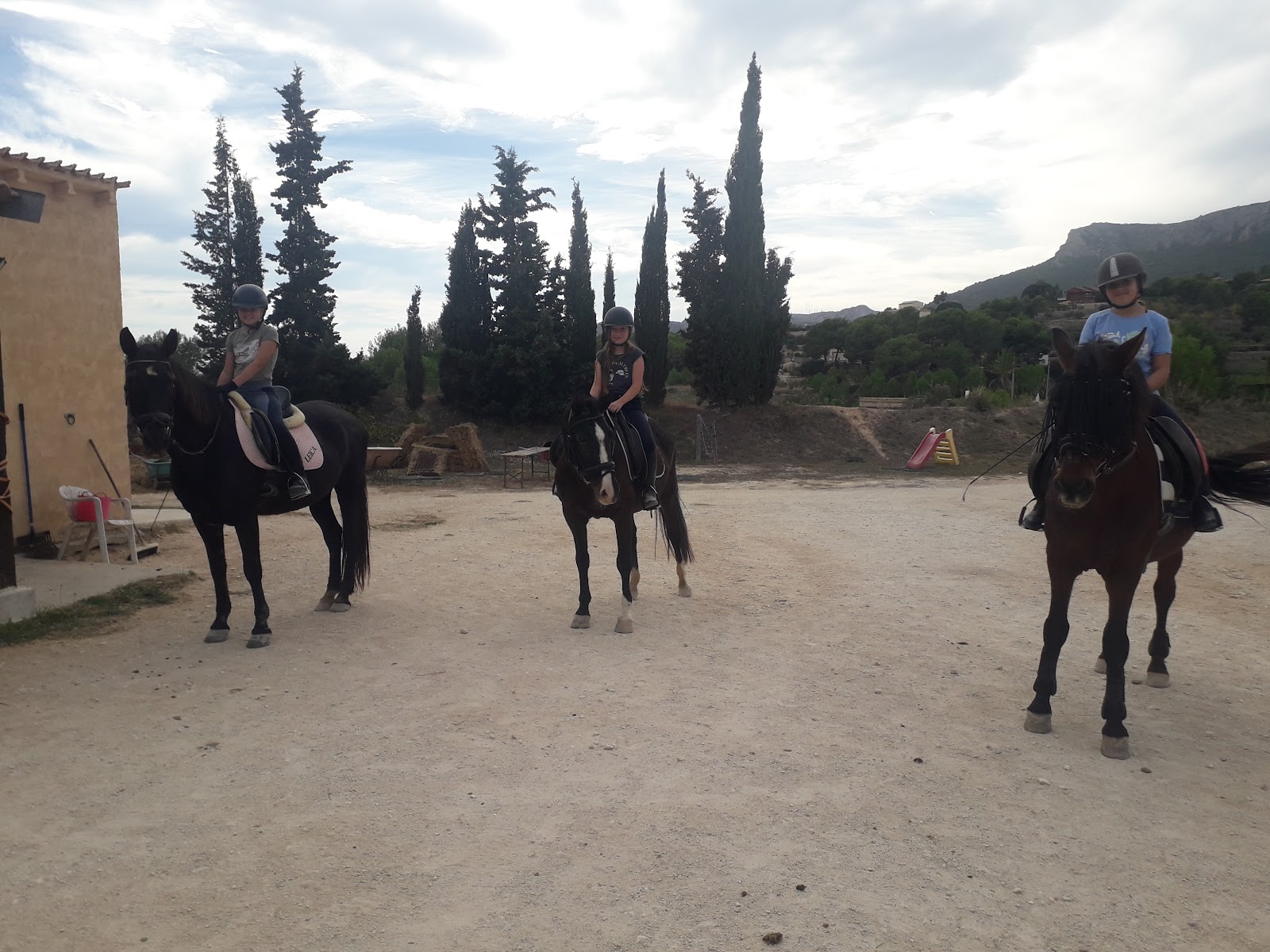 Premium Stables